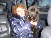 Превью фото № 142247