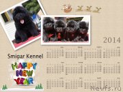 Превью фото № 142251