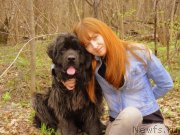 Превью фото № 142252