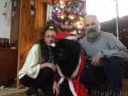 Превью фото № 142263