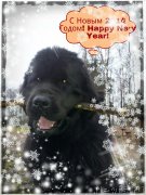 Превью фото № 142355