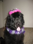 Превью фото № 142373