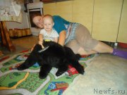 Превью фото № 142395