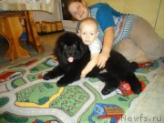 Превью фото № 142396