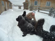 Превью фото № 142405