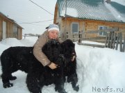 Превью фото № 142408