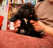 Превью фото № 142562