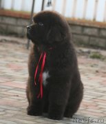 Превью фото № 142851