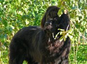 Превью фото № 142886