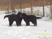 Превью фото № 142983