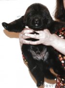 Превью фото № 143001