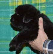 Превью фото № 143053