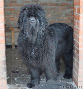 Превью фото № 143061