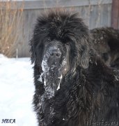 Превью фото № 143063