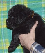 Превью фото № 143086