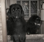 Превью фото № 143104