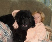 Превью фото № 143126