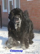 Превью фото № 143129