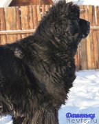 Превью фото № 143130