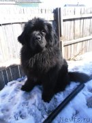 Превью фото № 143204