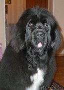 Превью фото № 143207