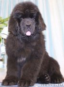 Превью фото № 143223