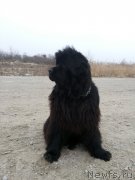 Превью фото № 143243