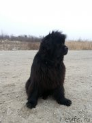 Превью фото № 143244