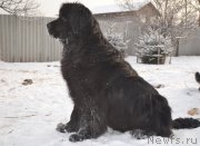 Превью фото № 143257