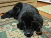 Превью фото № 143340