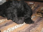 Превью фото № 143348