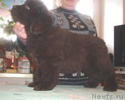 Превью фото № 143368