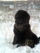 Превью фото № 143380