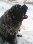 Превью фото № 143383