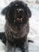 Превью фото № 143385