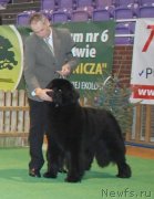 Превью фото № 143573