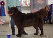 Превью фото № 143678