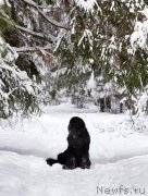 Превью фото № 143683