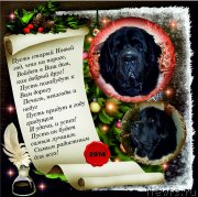 Превью фото № 143702