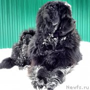 Превью фото № 143703