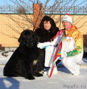 Превью фото № 143748