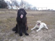 Превью фото № 143756