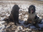 Превью фото № 143759