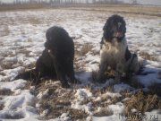 Превью фото № 143760