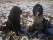 Превью фото № 143762