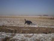 Превью фото № 143763