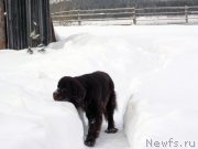 Превью фото № 143784