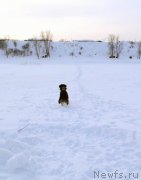 Превью фото № 143788