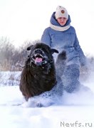 Превью фото № 143837