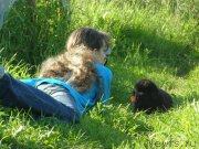 Превью фото № 143840